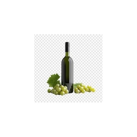 Bourgogne Aligoté Plaisir