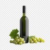 Bourgogne Aligoté Plaisir