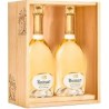 Orvieto Classico