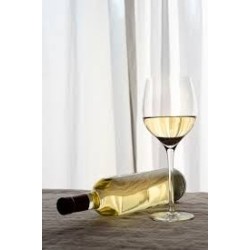 Verdicchio dei Castelli