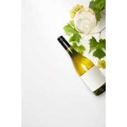 Txakoli Blanc du Pays Basque