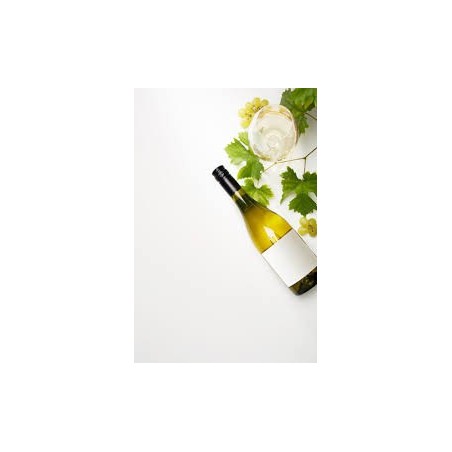 Txakoli Blanc du Pays Basque