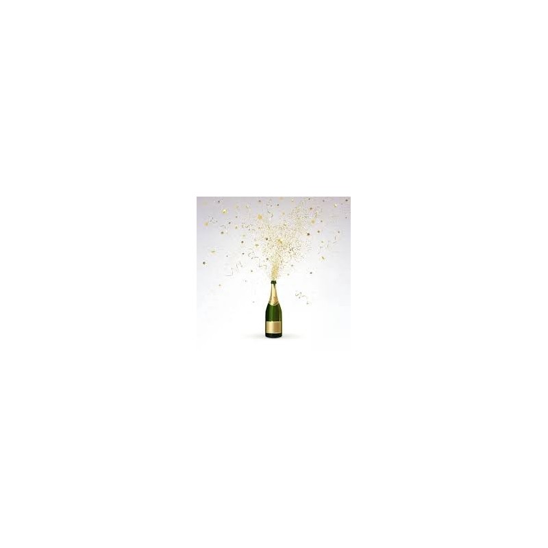 Champagne Millésimé 2015 Champagne Millésimé 2015