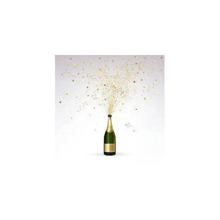Champagne Millésimé 2015